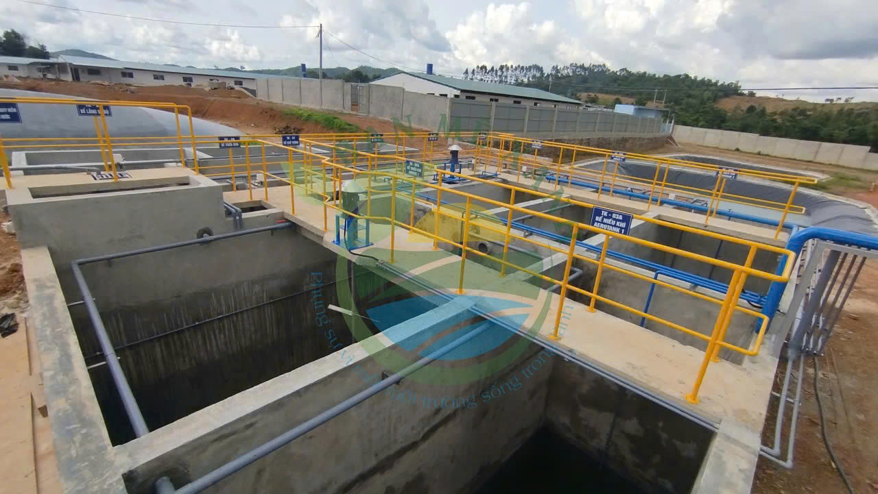 Công Nghệ Biogas Kết Hợp Xử Lý Nước Thải Cho Trang Trại Chăn Nuôi Tại Tây Nguyên