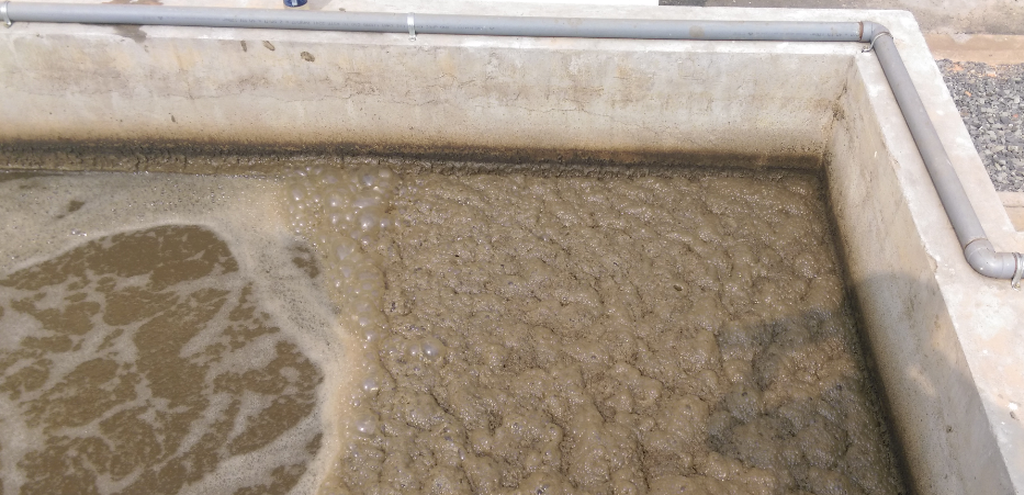 Công Nghệ Biogas Kết Hợp Xử Lý Nước Thải Cho Trang Trại Chăn Nuôi Tại Tây Nguyên