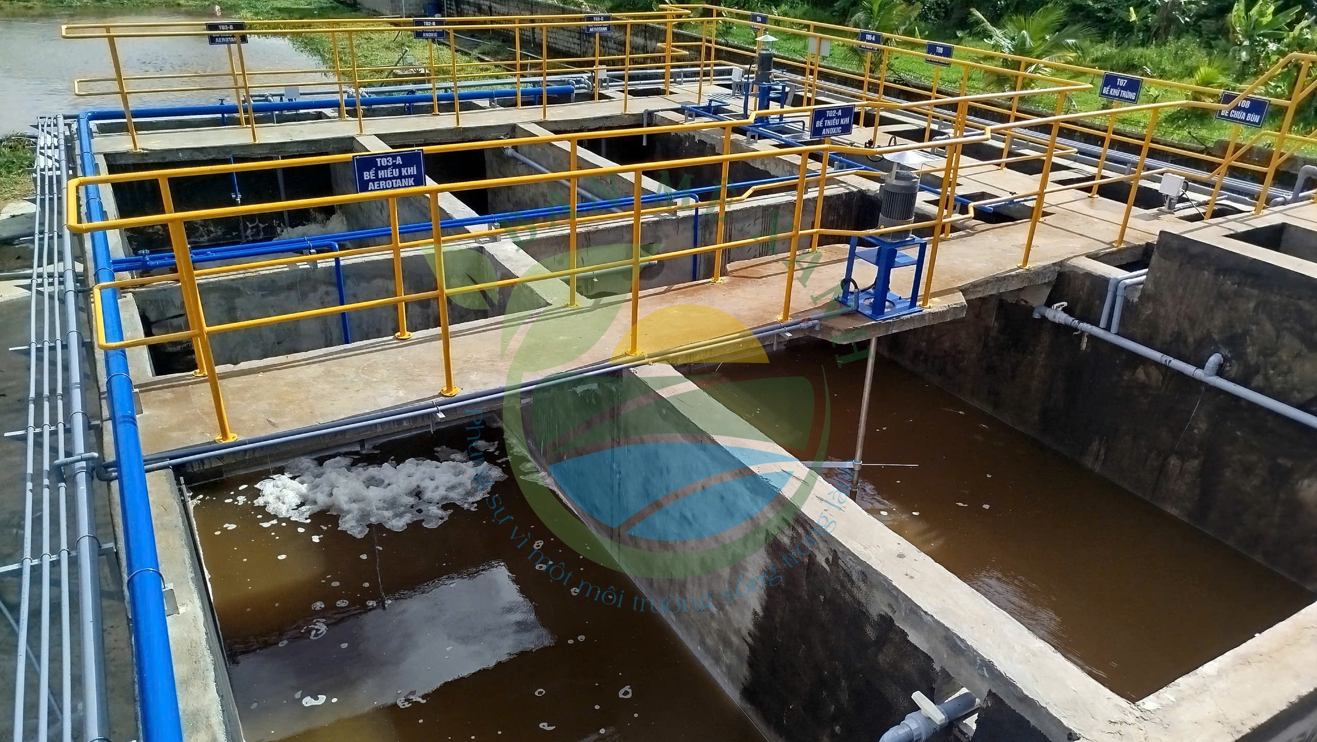 Xử Lý Nước Thải Cơ Sở Giết Mổ Gia Súc Gia Cầm