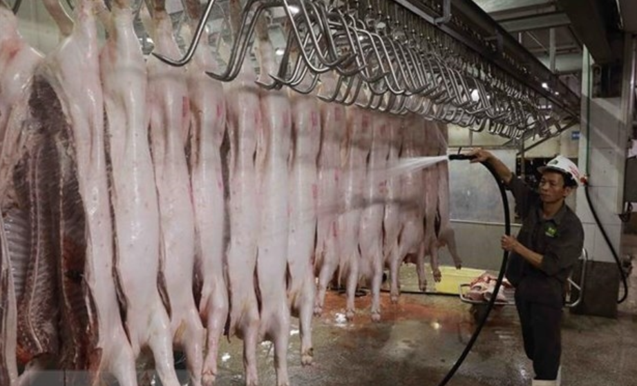 Xử Lý Nước Thải Cơ Sở Giết Mổ Gia Súc Gia Cầm