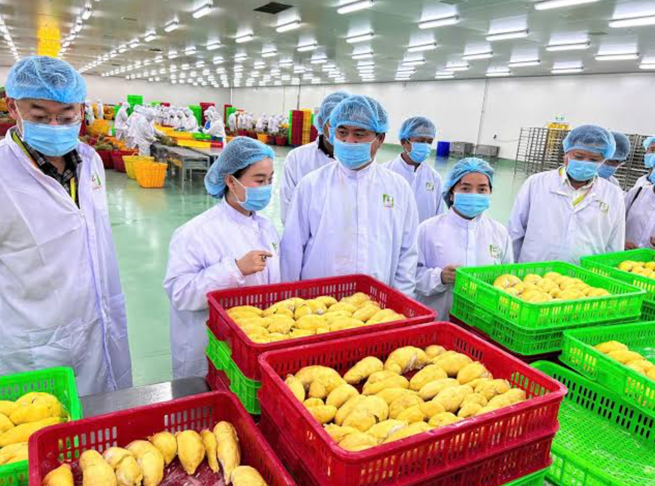 Những Cơ Sở Nào Bắt Buộc Phải Thực Hiện Hồ Sơ Môi Trường Hiện Nay?